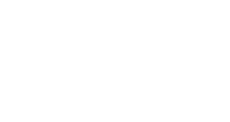 4 Lane Insurance - Logo 800 White