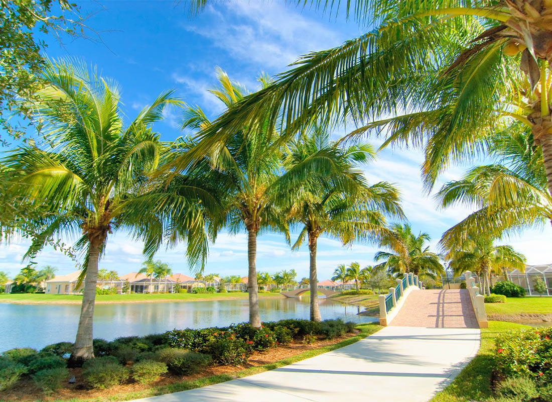 About Our Agency - Scenic Shot of Palm Alley in Florida