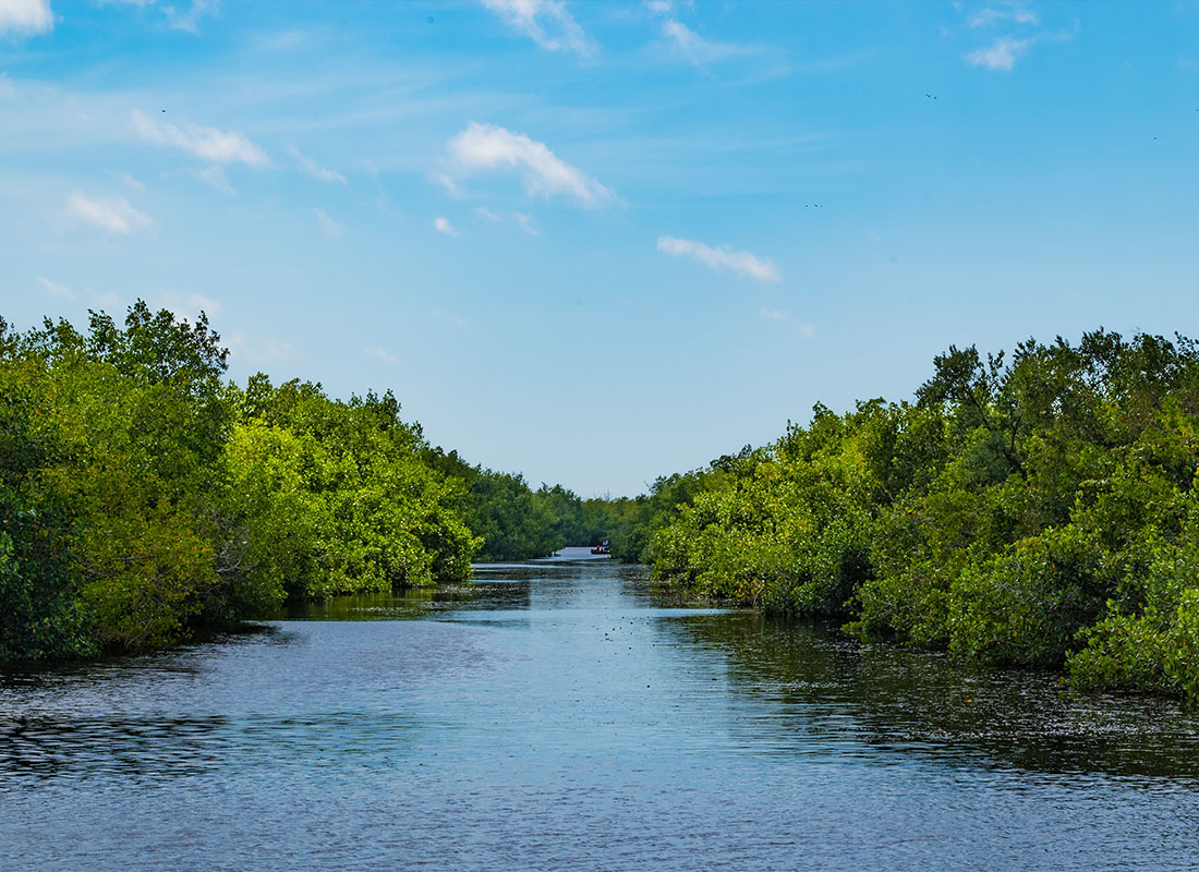Sanford, FL - Seminole Collier County Nature Preserve in South Florida